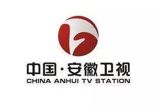 安徽电视频道,聚焦本土文化，展现多彩生活