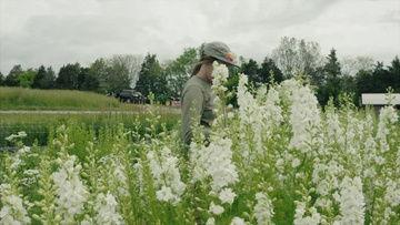 剪花视频,跟随视频学习剪花技巧