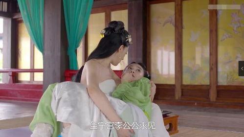 太子妃升职记33视频,宫廷风云再起，太子妃智斗权谋