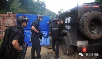 警察抓捕视频,警察智勇抓捕犯罪嫌疑人的惊险瞬间