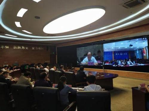 视频会议现场,高效沟通与远程协作的精彩瞬间